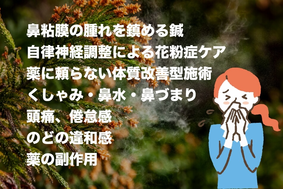 毎年この季節に多くの方がご来院し、花粉症の体調管理を目的とした鍼灸ケア 花粉症の鍼灸ケア 4,800円（税込）